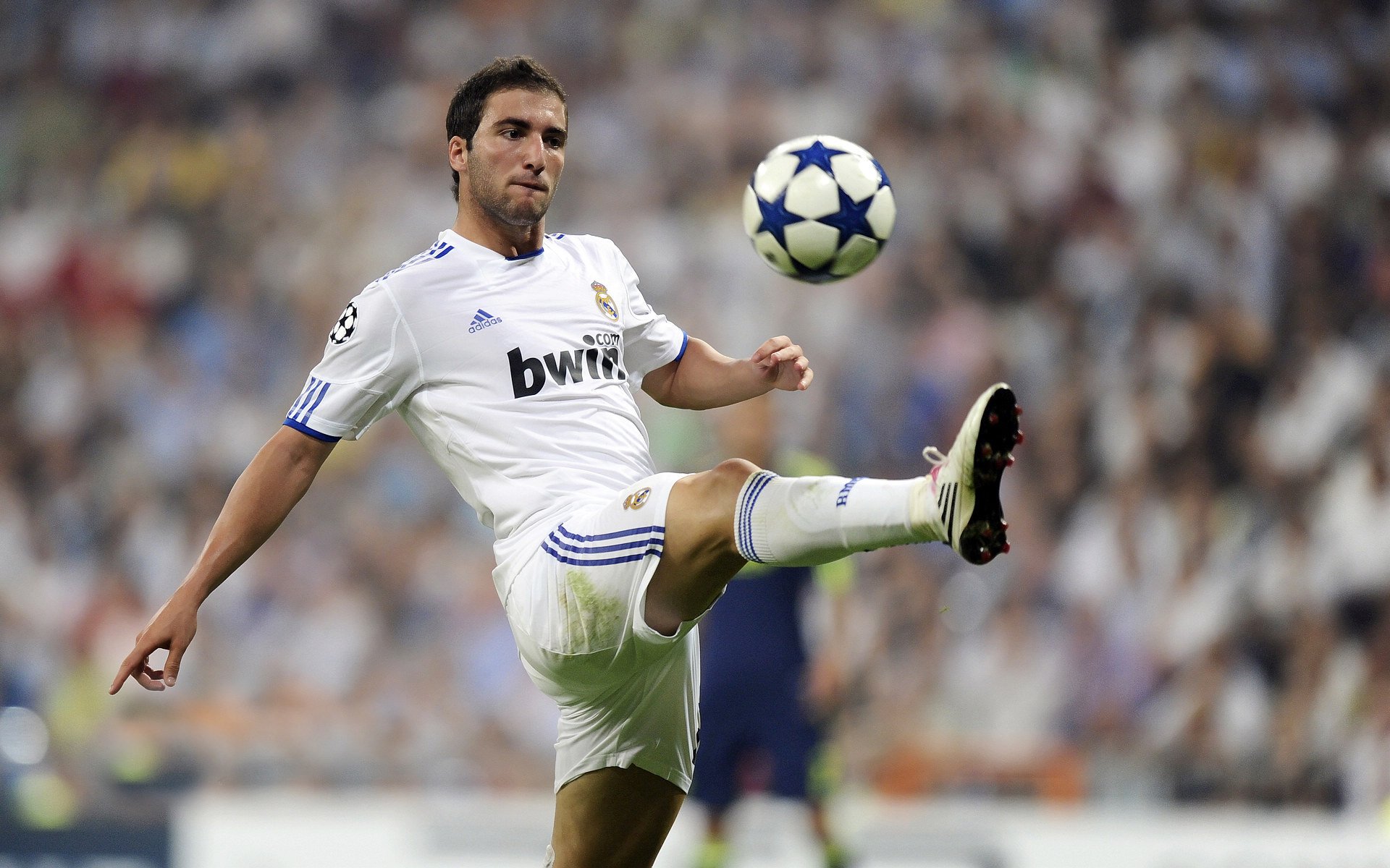 体育产业迎来新机遇,政策支持与消费升级推动高质量发展