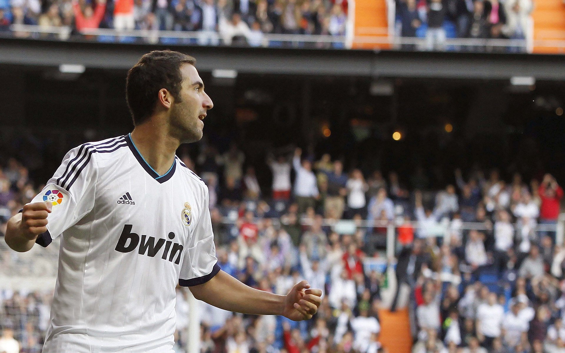 中国跳水队再创辉煌,包揽世锦赛全部金牌